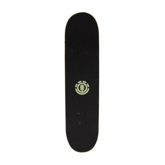 Dragon 31″ Popsicle Skateboard