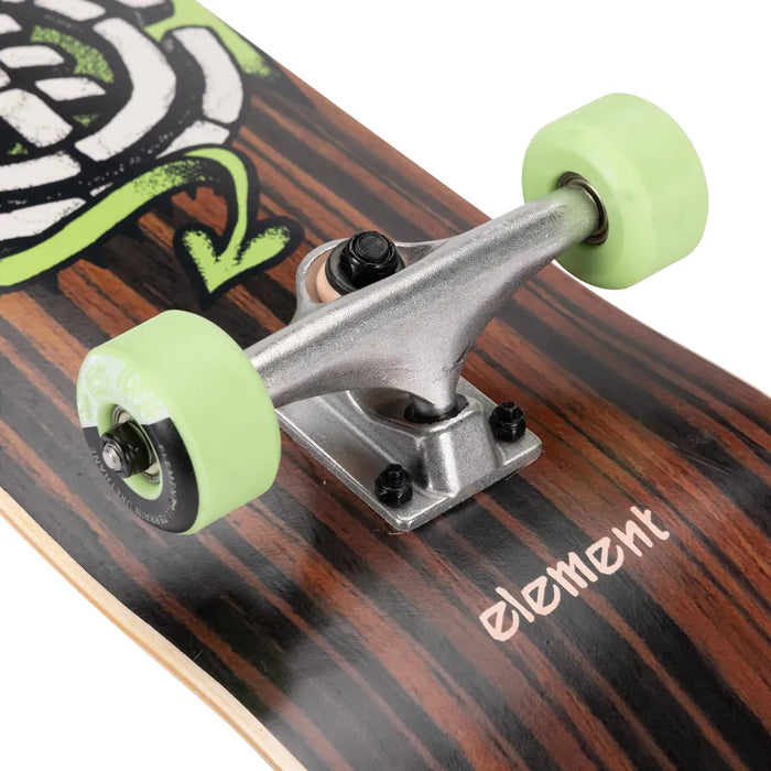 Dragon 31″ Popsicle Skateboard